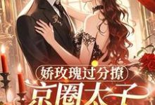 娇玫瑰过分撩，京圈太子底线全抛（邓恩雅）全本书籍阅读娇玫瑰过分撩，京圈太子底线全抛完整版小说-阿优文学