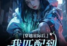 (全文)穿越星际后,我匹配到九个大冤种热门小说排行榜,穿越星际后,我匹配到九个大冤种洛千全章小说阅读-阿优文学
