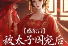 (全文)惑东宫:被太子囚宠后,她权倾天下热门小说排行榜,惑东宫:被太子囚宠后,她权倾天下陆菀音全章小说阅读-阿优文学