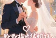 默默掏出结婚证,我的老公好奶完整版小说,默默掏出结婚证,我的老公好奶宋禧全章小说阅读-阿优文学
