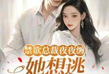 (全文)禁欲总裁夜夜缠，她想逃却逃不掉​​完结小说推荐温澜全本书籍阅读-阿优文学