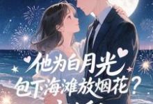 (全文)他为白月光包下海滩放烟花？离婚！霍宴州云初最新完结小说他为白月光包下海滩放烟花？离婚！免费小说全本-阿优文学