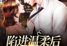 (全文)陷进温柔后，他宠上瘾了（甘棠许应）免费小说陷进温柔后，他宠上瘾了试读更新章节-阿优文学