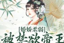 (全文)娇娇柔弱，被禁欲帝王强制囚宠宋泱裴慎全本免费在线阅读-阿优文学