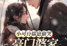 (全文)小可怜揣崽偷哭,豪门婆家来团宠热门小说排行榜,小可怜揣崽偷哭,豪门婆家来团宠苏念念全章小说阅读-阿优文学