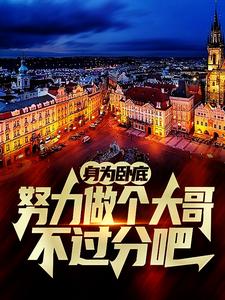 身为卧底，努力做个大哥不过分吧热门小说排行榜身为卧底，努力做个大哥不过分吧白舟免费小说全本