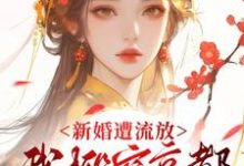 (全文)新婚遭流放，我搬空京都去逃荒桑晚柠小说推荐，新婚遭流放，我搬空京都去逃荒全章小说阅读-阿优文学