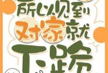 因为太怂所以见到对家就下跪完整版小说，因为太怂所以见到对家就下跪叶暮试读更新章节-阿优文学