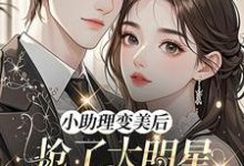 (全文)小助理变美后，抢了大明星的金主苏浅浅顾承聿最新完结小说小助理变美后，抢了大明星的金主免费小说全本-阿优文学